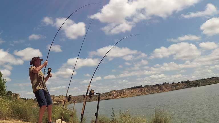 a double take on the river ebro