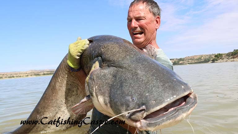 156 lbs River Ebro wels catfish fishing in spain