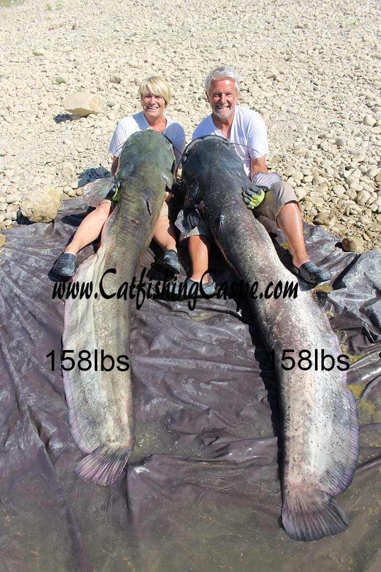 two river monsters 158 lbs
